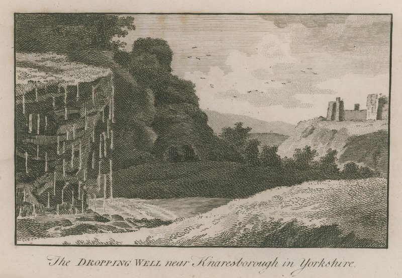 Studnia w pobliżu Knaresborough w Yorkshire autorstwa English School