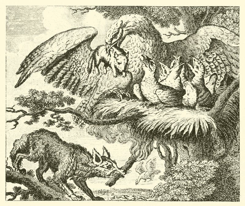 Orzeł i lis (rycina) autorstwa English School