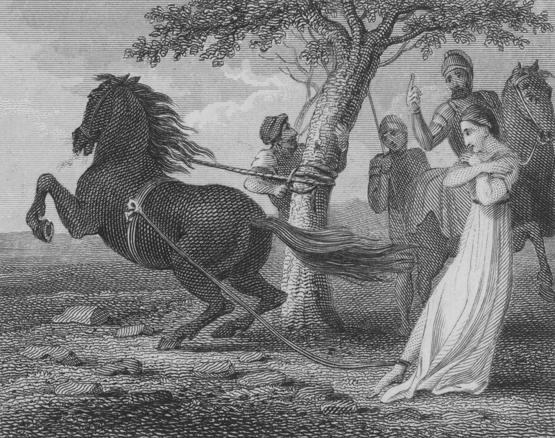 Egzekucja Brunhildy z Austrazji przez Chlothara II, 613 autorstwa English School