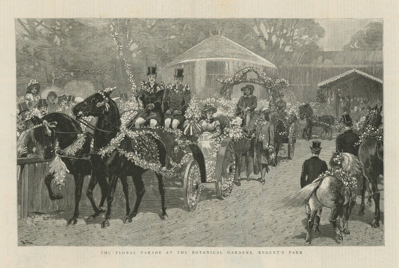 Kwiatowa parada w Ogrodzie Botanicznym autorstwa English School