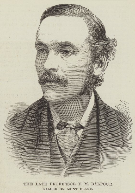 Nieżyjący już profesor F.M. Balfour, zabity na Mont Blanc (rycina) autorstwa English School