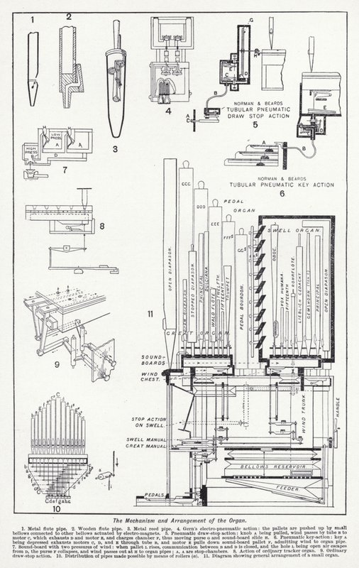 Mechanizm i układ organów (lito) autorstwa English School