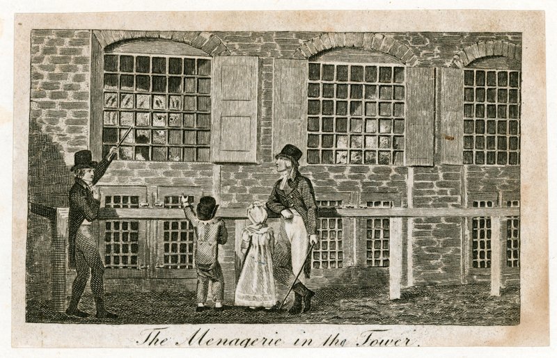 Menażeria w Tower of London około 1820 r autorstwa English School