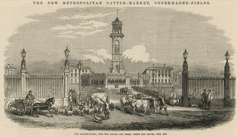 Nowy Metropolitan Cattle Market, Copenhagen Fields autorstwa English School