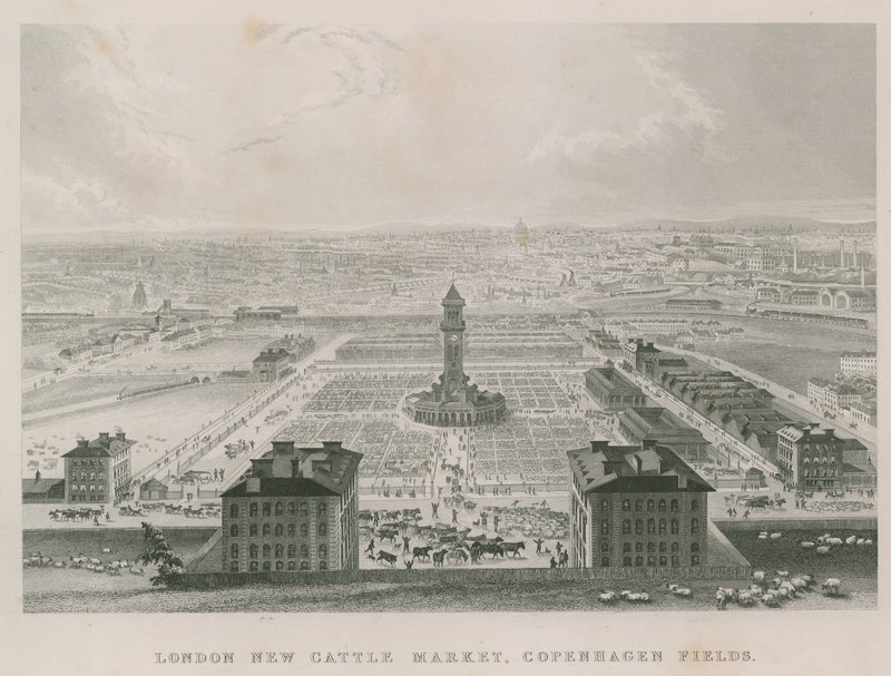 Nowy Metropolitan Cattle Market, Copenhagen Fields, Londyn autorstwa English School