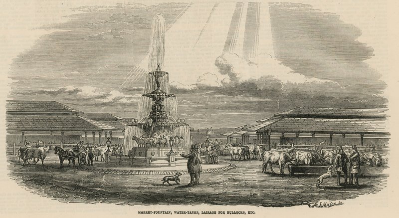 Nowy Metropolitan Cattle Market, Copenhagen Fields: fontanna targowa, zbiorniki na wodę, legowisko dla byków itp. autorstwa English School