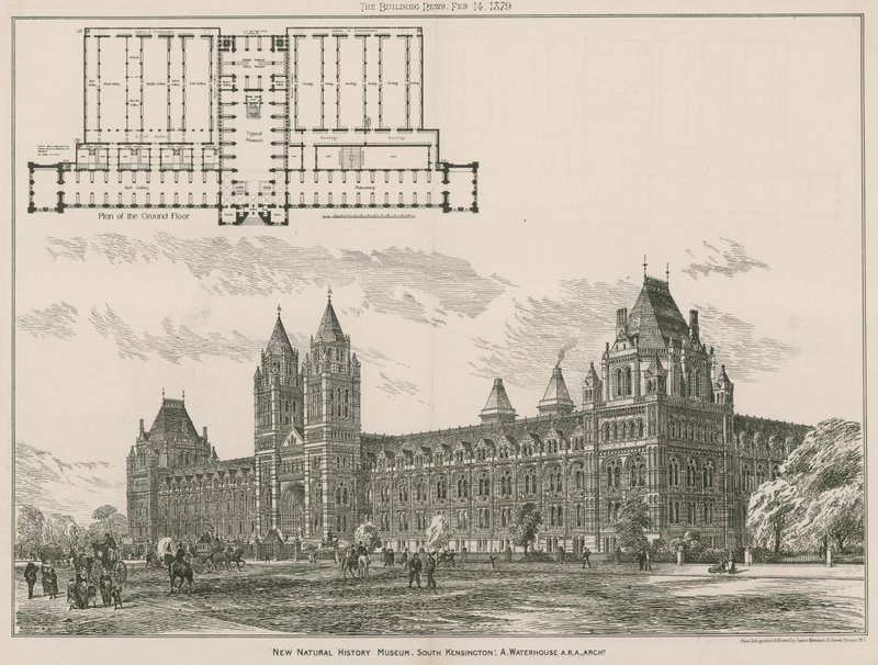 Nowe Muzeum Historii Naturalnej, South Kensington, Londyn autorstwa English School