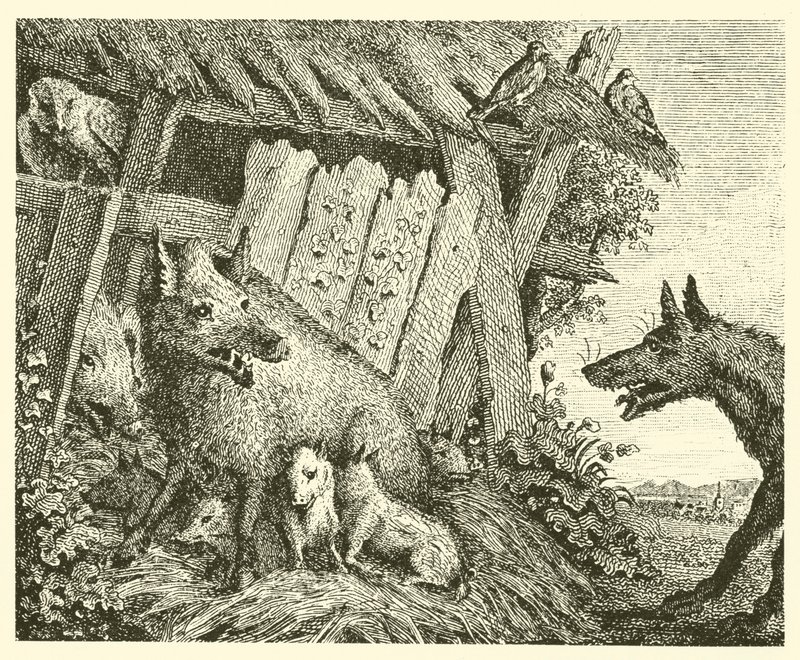 Maciora i wilk (rycina) autorstwa English School