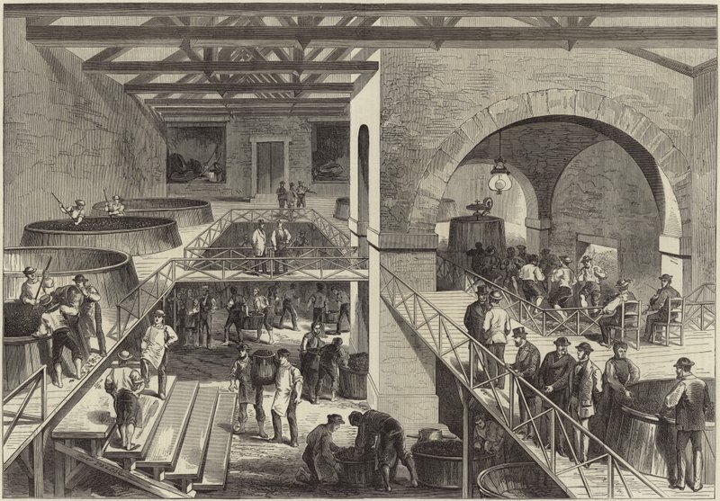 Rocznik Medoc autorstwa English School