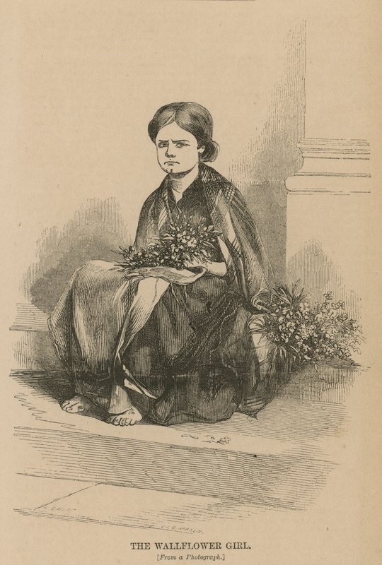 Dziewczyna z wallflower autorstwa English School