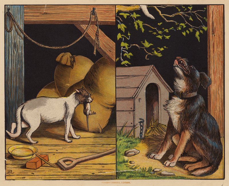 This Is The Cat; This Is The Dog (kolorowa litografia) autorstwa English School