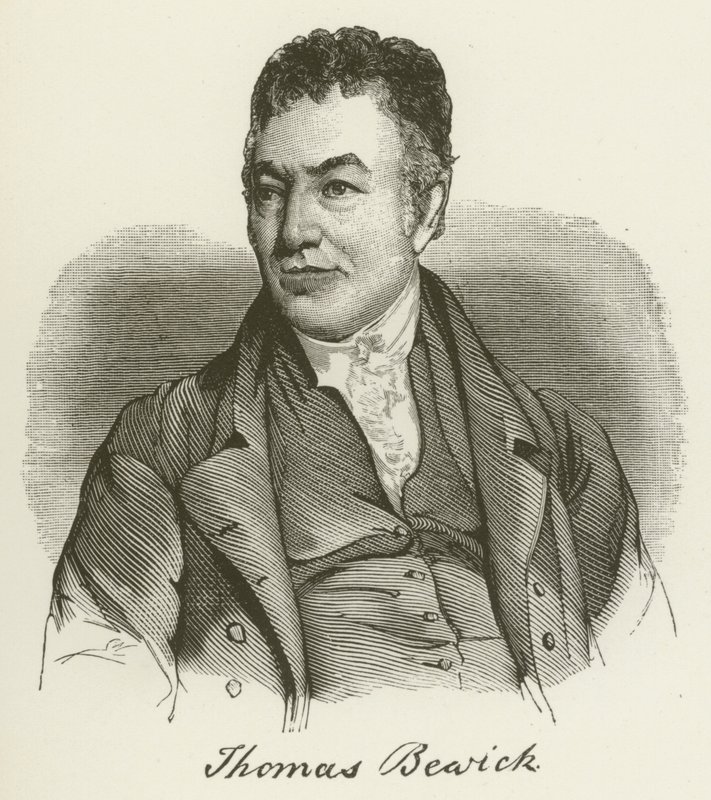 Thomas Bewick (Grawerowanie) autorstwa English School