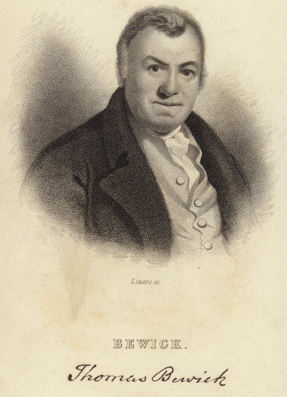 Thomas Bewick autorstwa English School