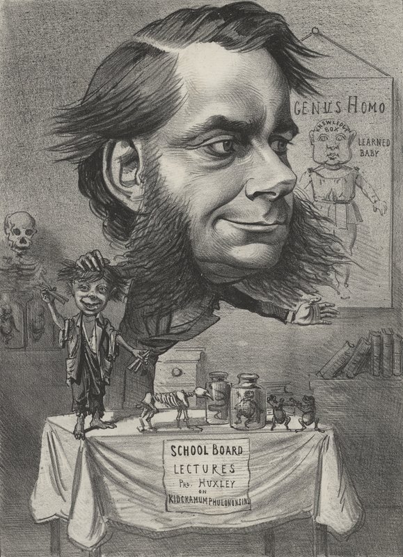 Thomas Henry Huxley, angielski biolog autorstwa English School
