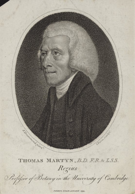 Tomasz Martyn autorstwa English School