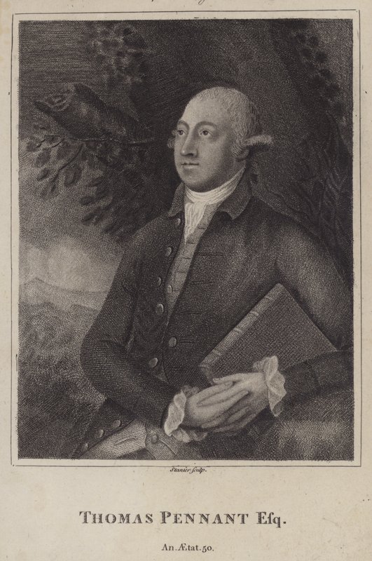 Thomas Pennant, walijski przyrodnik i topograf (grafika) autorstwa English School
