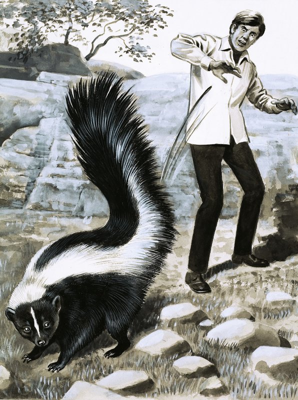 Ząb i pazur: Skunk autorstwa English School