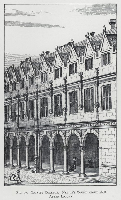 Trinity College, dwór Nevile