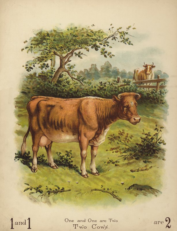 Dwie krowy (chromolit) autorstwa English School