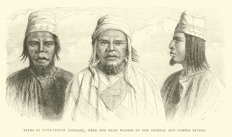 Rodzaje Futa-Jallon, Foulah, w pobliżu górnego biegu rzek Senegalu i Gambii autorstwa English School