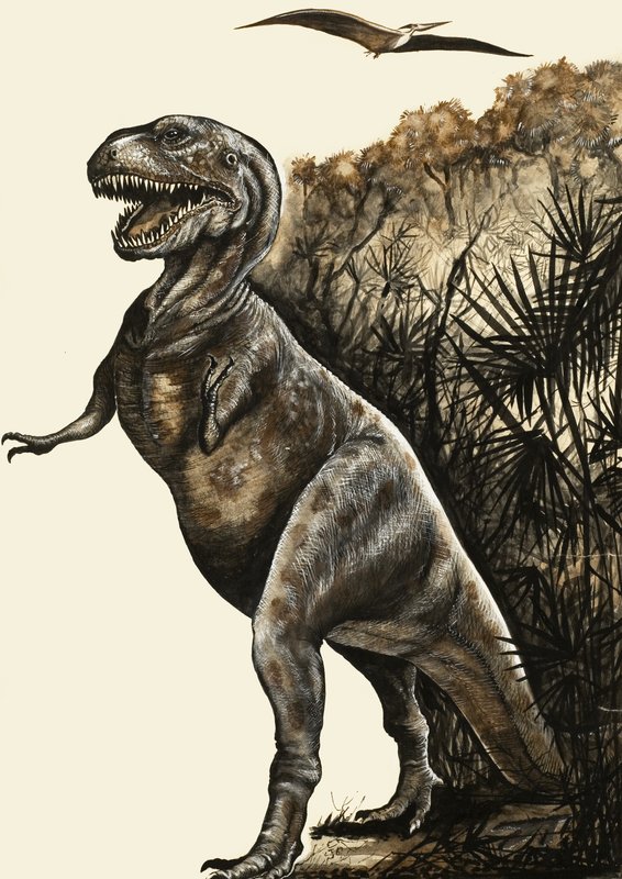 Tyranozaurus Rex autorstwa English School
