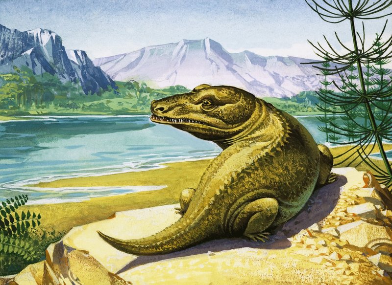 Niezidentyfikowany dinozaur podobny do krokodyla autorstwa English School