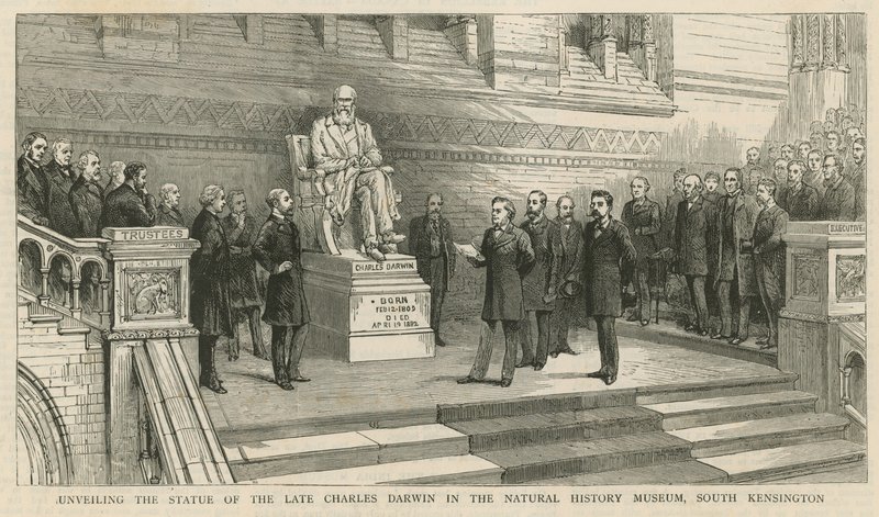 Odsłonięcie pomnika zmarłego Karola Darwina w Muzeum Historii Naturalnej w South Kensington autorstwa English School