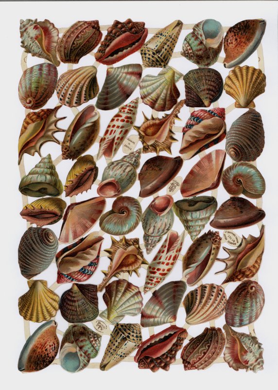 Wiktoriańskie skrawki (chromolitho) autorstwa English School