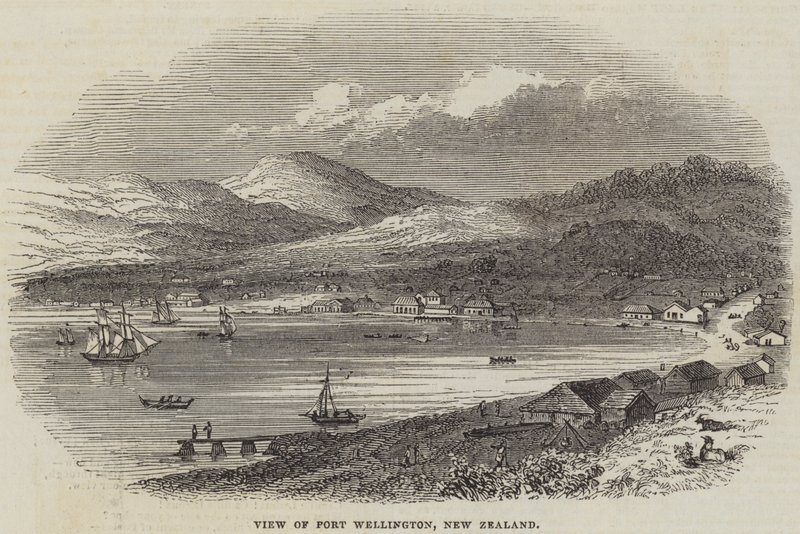 Widok Port Wellington, Nowa Zelandia (rycina) autorstwa English School