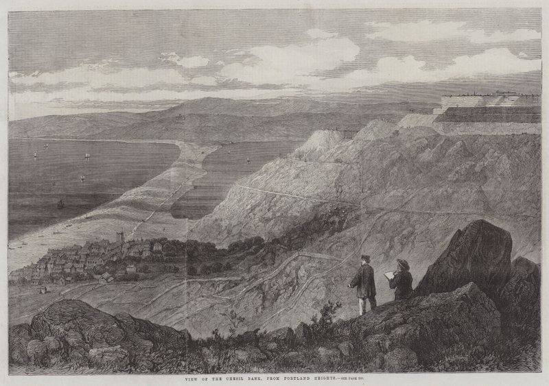 Widok na Chesil Bank z Portland Heights (rycina) autorstwa English School