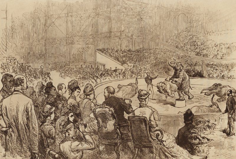 Wizyta księcia i księżnej Walii oraz króla i królowej Grecji, 1876 r. autorstwa English School