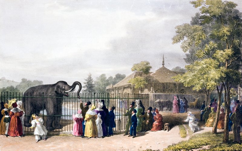 Odwiedzający londyńskie zoo w Regent