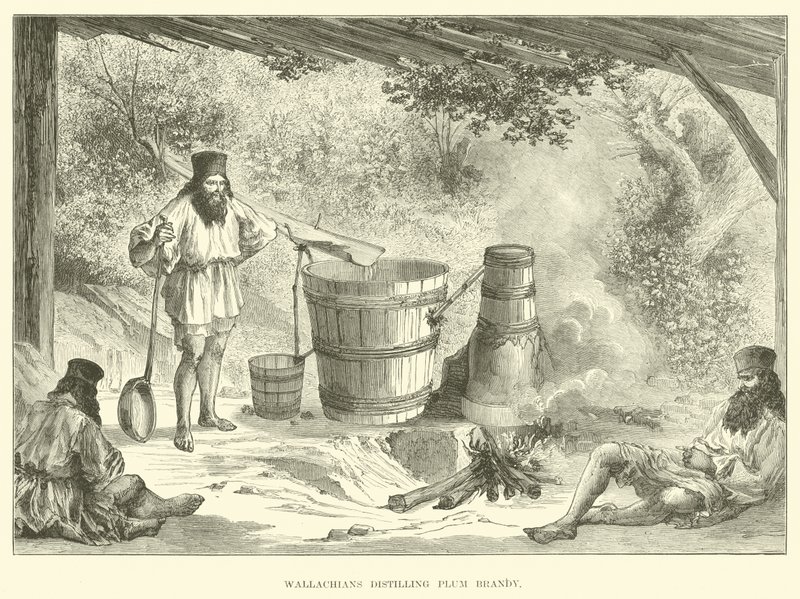 Wołosi destylują brandy śliwkowe autorstwa English School
