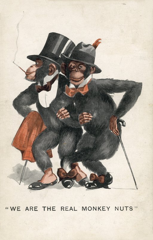 Jesteśmy prawdziwymi Monkey Nuts (kolor lito) autorstwa English School