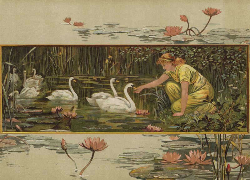 Gdzie rosną lilie wodne (chromolitho) autorstwa English School