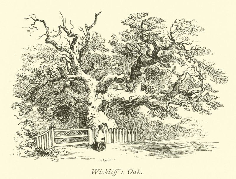 Wickliffs Oak  autorstwa English School
