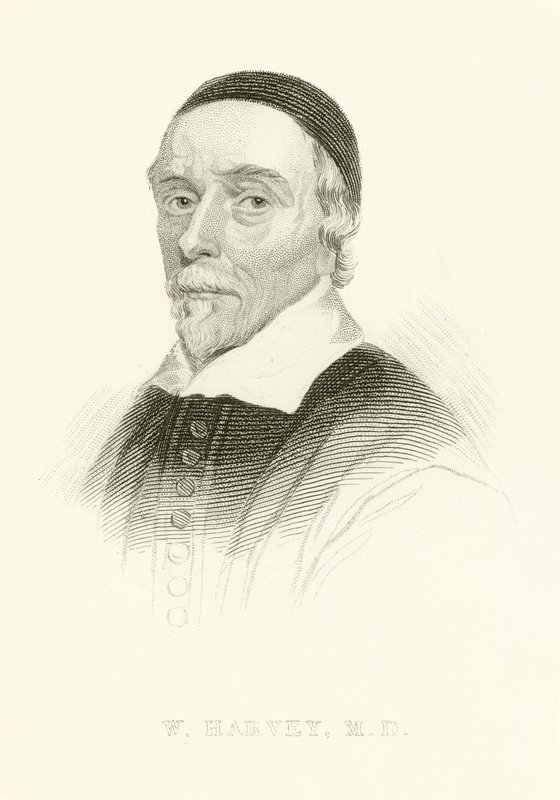 William Harvey autorstwa English School