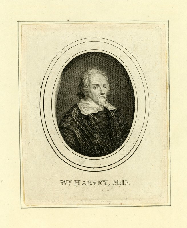 William Harvey autorstwa English School