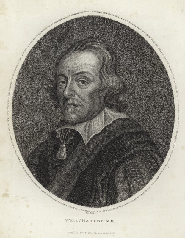 William Harvey autorstwa English School