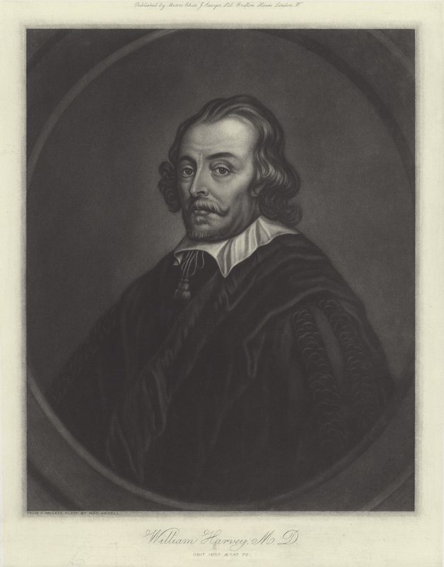 William Harvey, angielski lekarz autorstwa English School