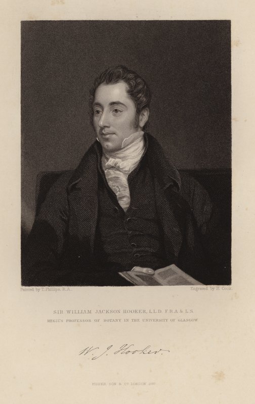William Jackson prostytutka autorstwa English School