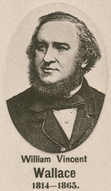 William Vincent Wallace (grawiura) autorstwa English School