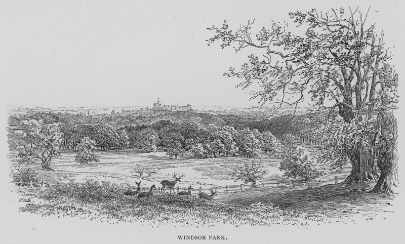 Windsor Park (grawerowanie) autorstwa English School