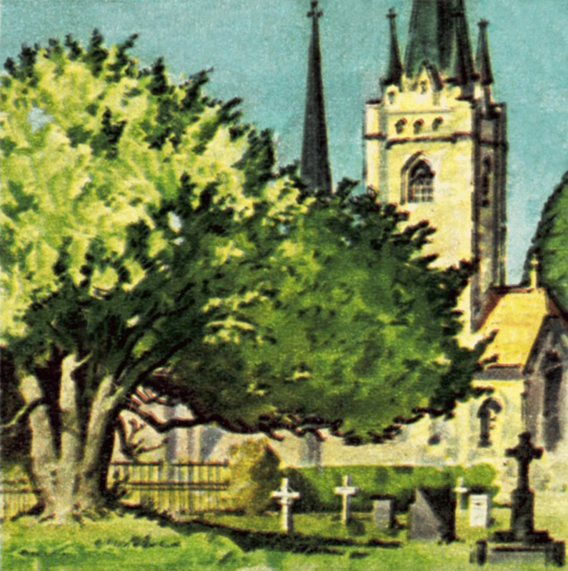 Cis na dziedzińcu kościoła autorstwa English School