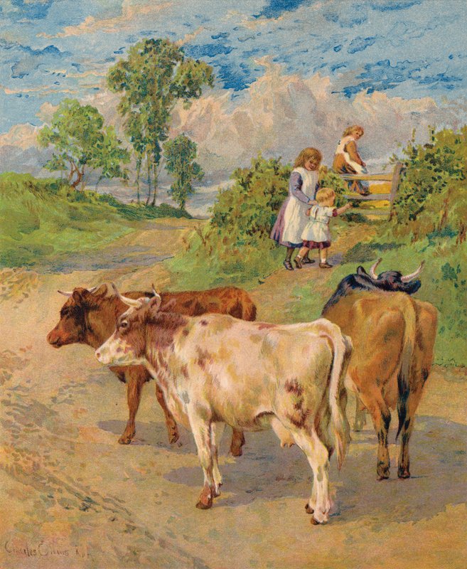 Małe dzieci i bydło (kolorowa litografia) autorstwa English School
