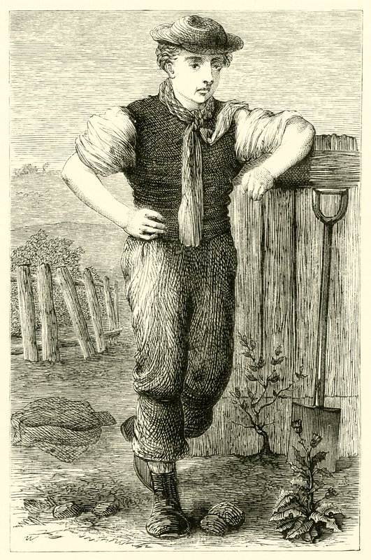 Młody ogrodnik (grafika) autorstwa English School