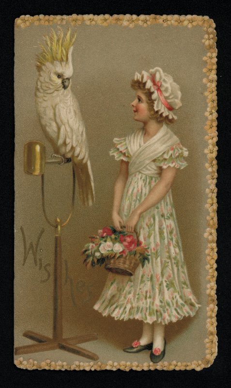 Młoda kobieta z białym kakadu, kartka z życzeniami. (chromolitho) autorstwa English School