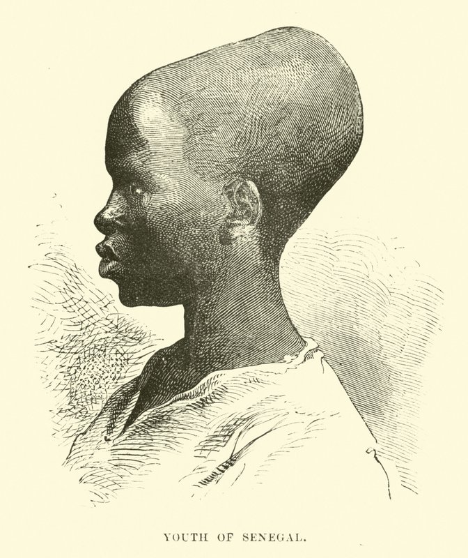 Młodzież Senegalu autorstwa English School