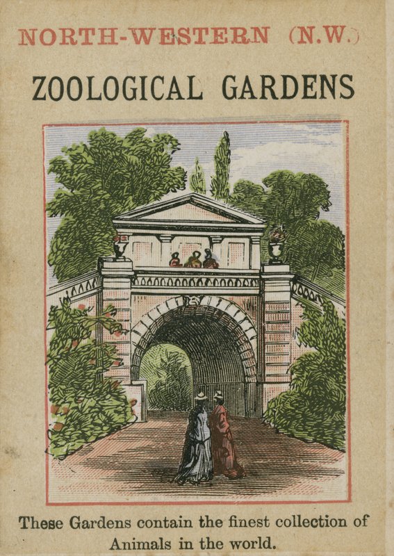Ogrody Zoologiczne autorstwa English School