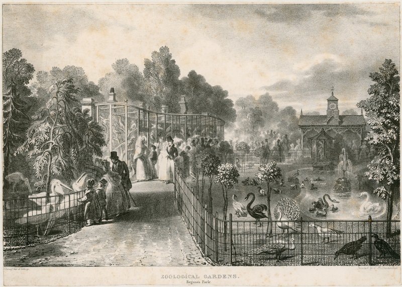 Ogrody Zoologiczne, Park Regents autorstwa English School